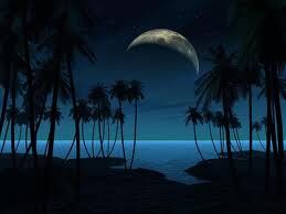 THE NIGHT THE NIGHT