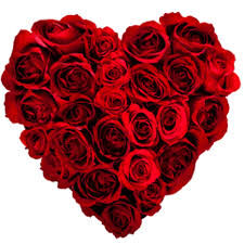 LOVE IS