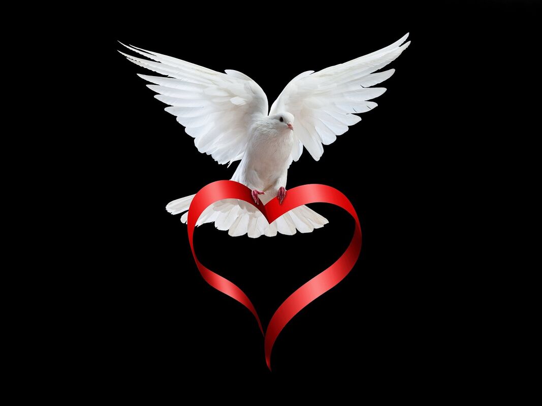 Courrier Doves