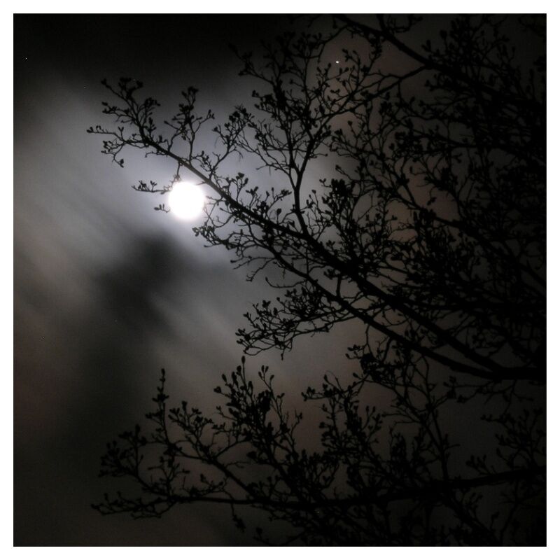 The mysterious night The mysterious night