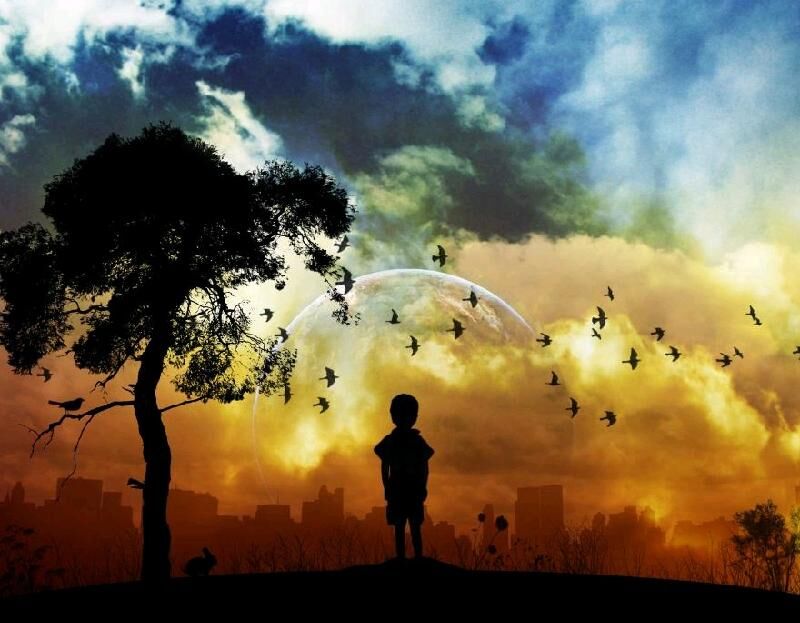 Wild Are The Dreamers