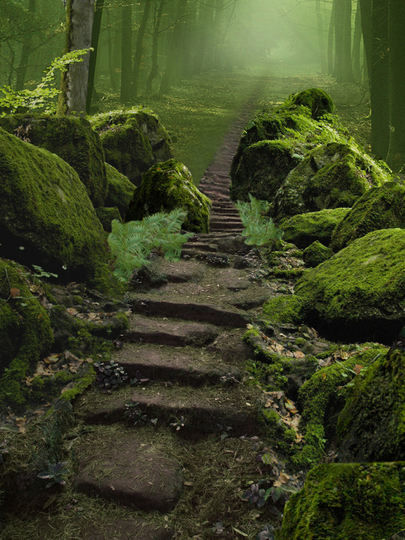 Stairway to heaven Stairway to heaven