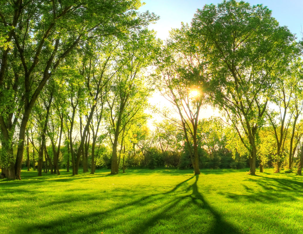 Springtime Springtime