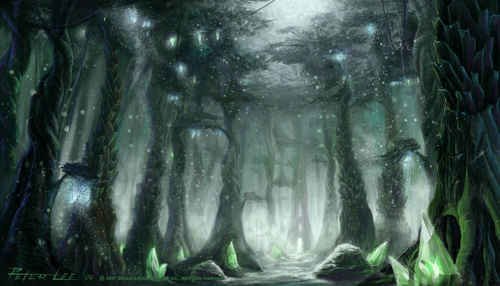 Voices Of The Forest.