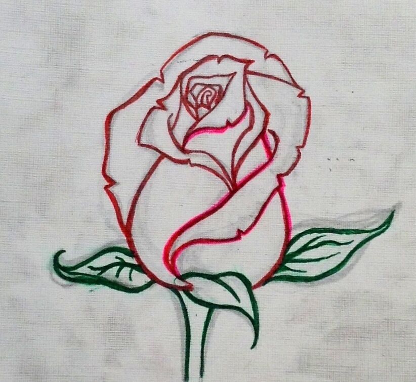 A Red Rose A Red Rose
