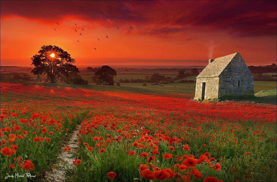 On the road to happiness