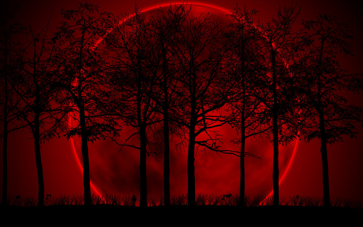 Blood Moon Blood Moon