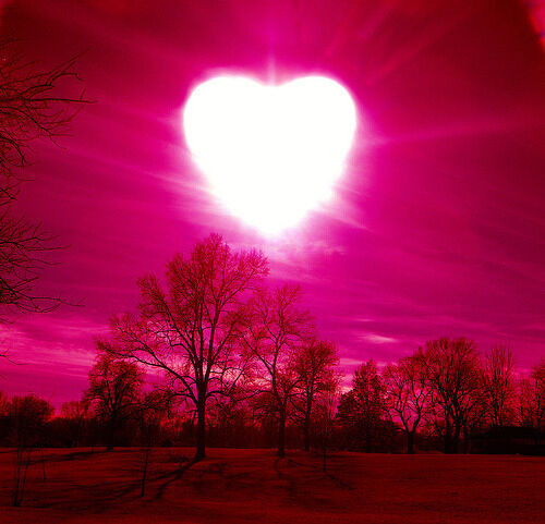 To The Love OF My Life
