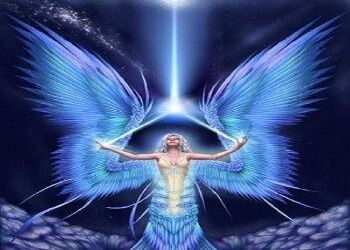 Angel Of Light Angel Of Light