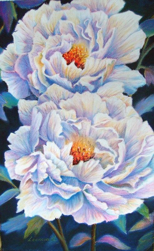 White Peonies 2