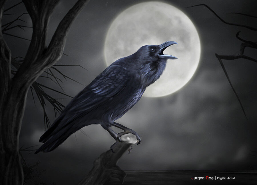 Call Of The Raven Call Of The Raven