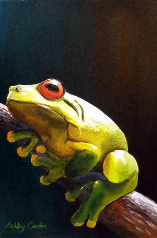 The lazy frog