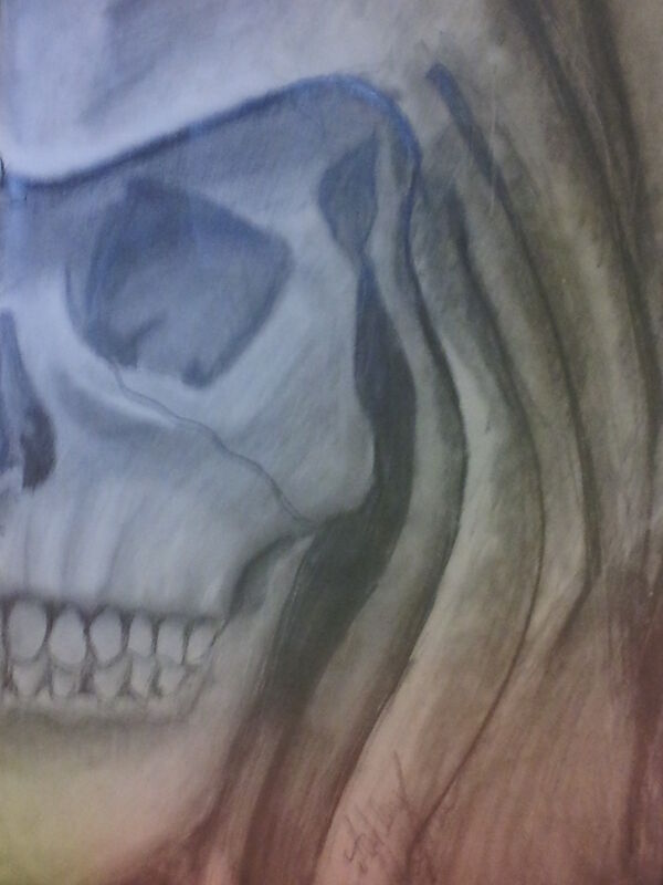 Skull