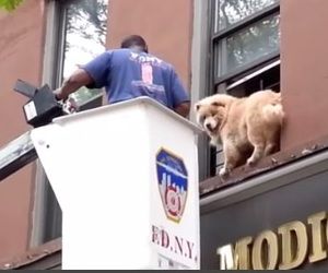 Should&#039;ve Climbed Out The Window 