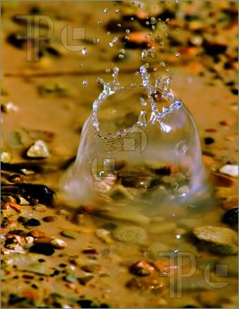 The last tear to drop The last tear to drop