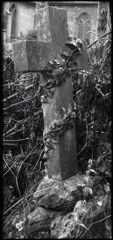 The Dead The Dead