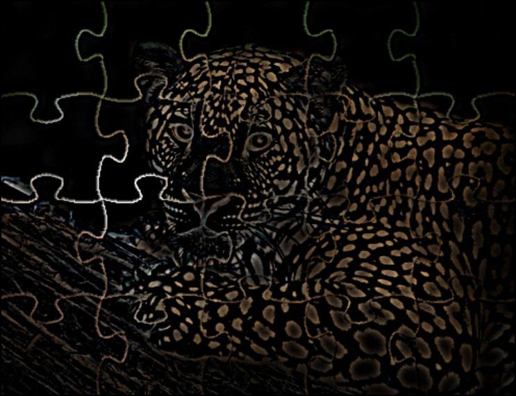 Jigsaw leopard