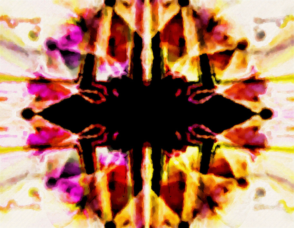 Sunflower Vision Sunflower Vision