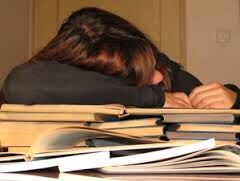 The School Day The School Day