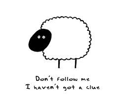 Following The Sheep