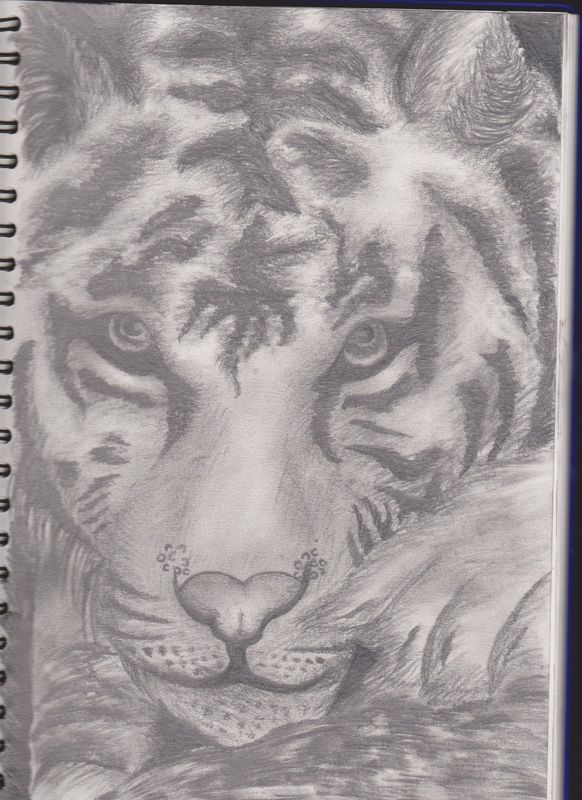 Prowling the grounds