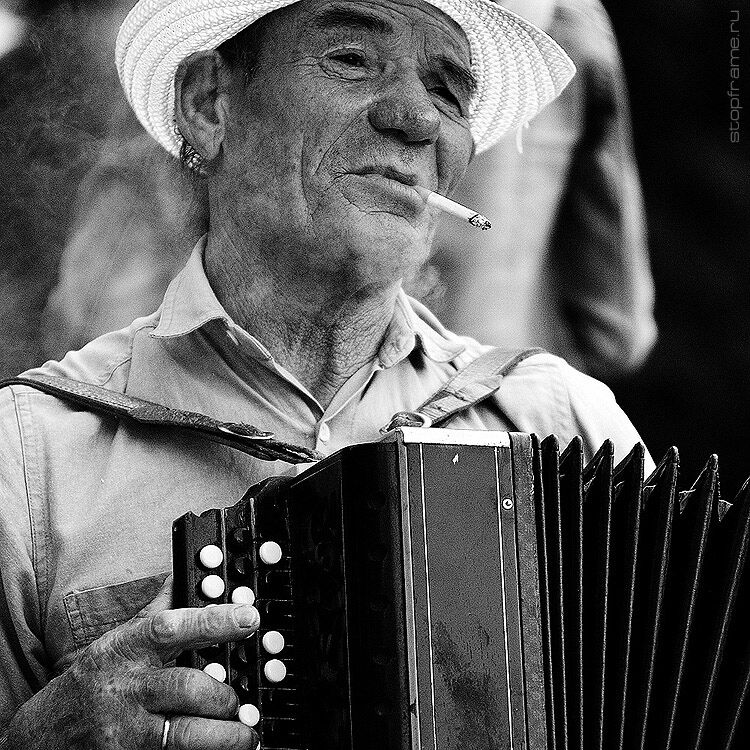 Accordion&#039;s Drink