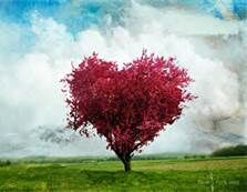Love is just like a tree Love is just like a tree