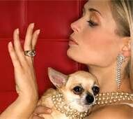 Uppity Women Uppity Women