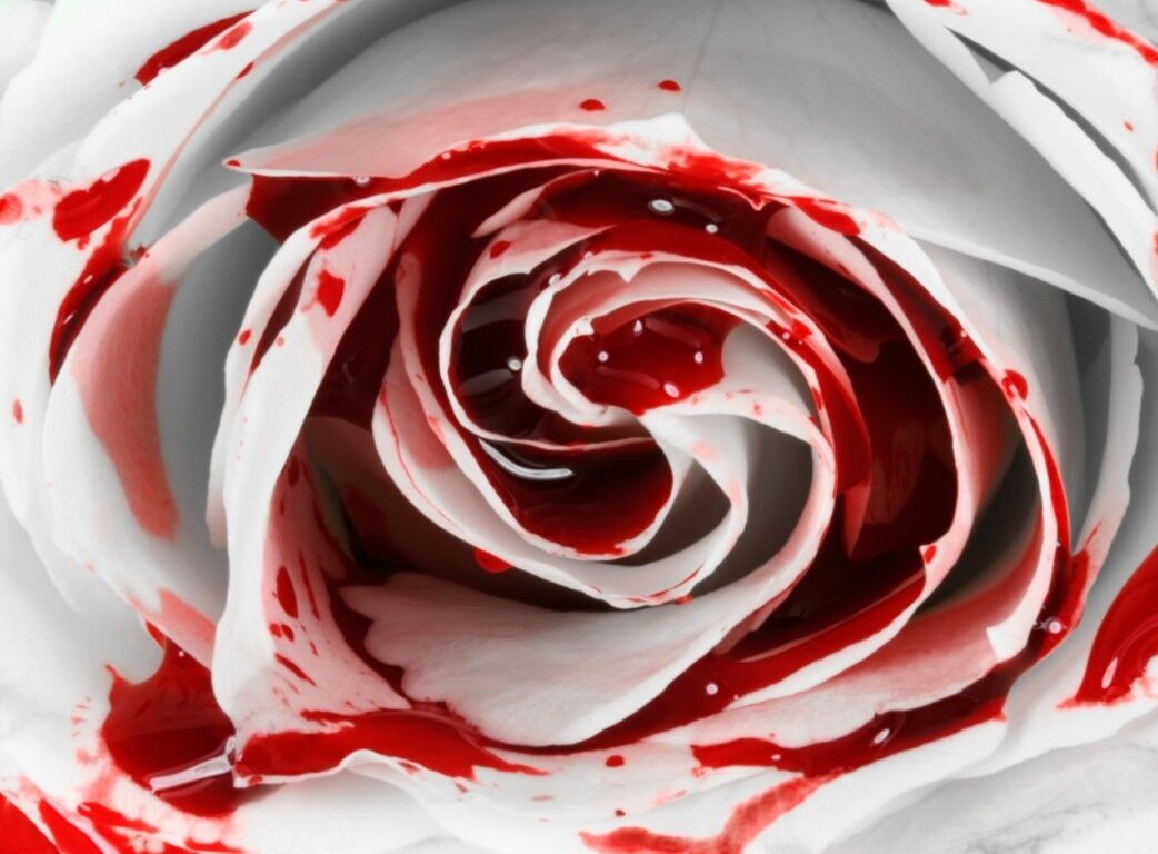 Bloody Rose Bloody Rose