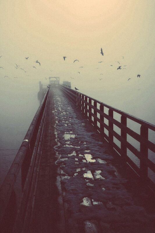 Lonely