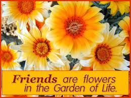 The garden of life... The garden of life...