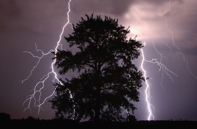 Back to Dreams... Back to Dreams...