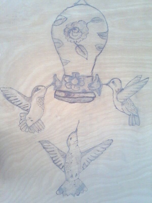 hummingbirds 