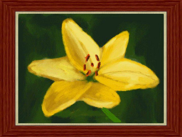 mellow lily yellow