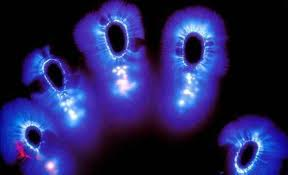 Fingerprint Fingerprint