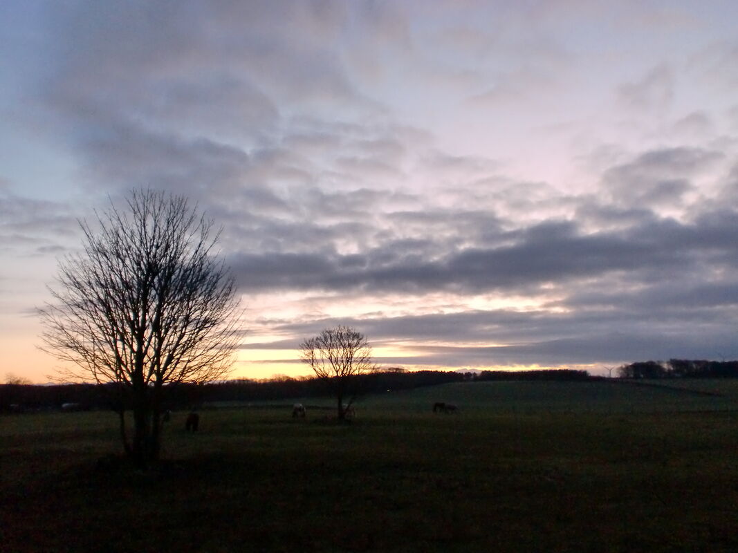 Dawn