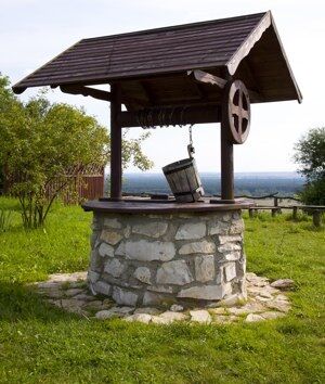 A Well in the Meadow