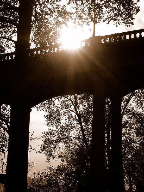 A Bridge From Being Alone 