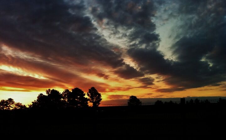 Dawn's Golden Light Dawn's Golden Light