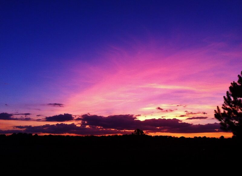 The Splendor that Surrounds Me The Splendor that Surrounds Me