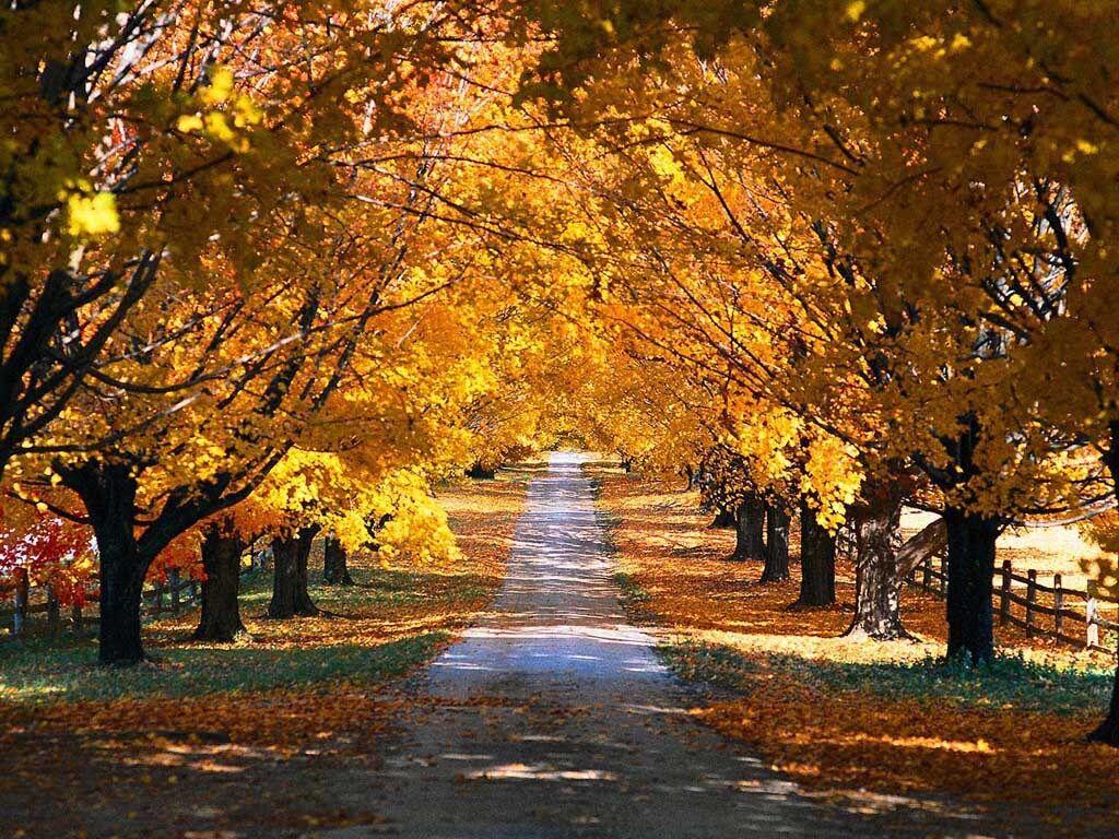 Autumn Autumn