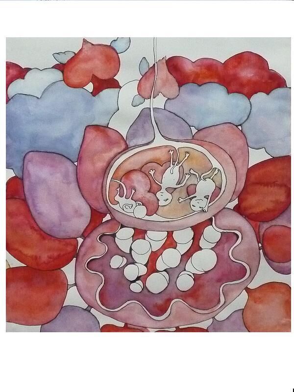 Lotusbabies