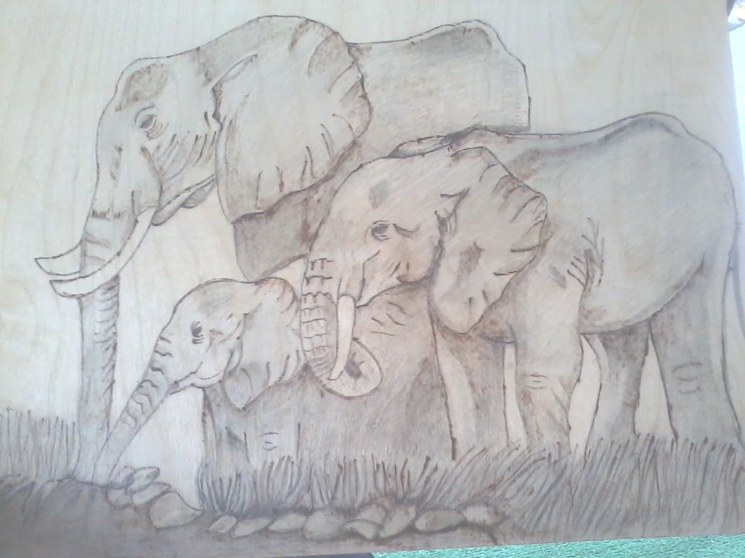 elphants dring water