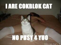 Cock Block : ) X!?... Cock Block : ) X!?...
