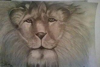 Big Cat Big Cat