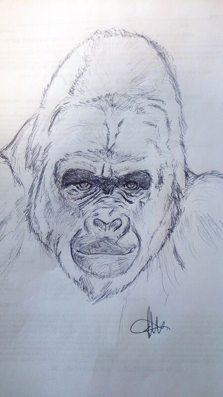The Old Man of the Jungle