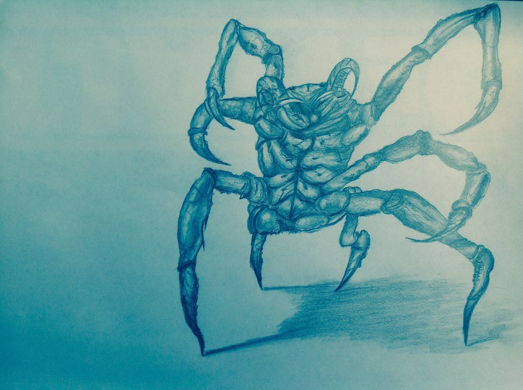 Spider crab 