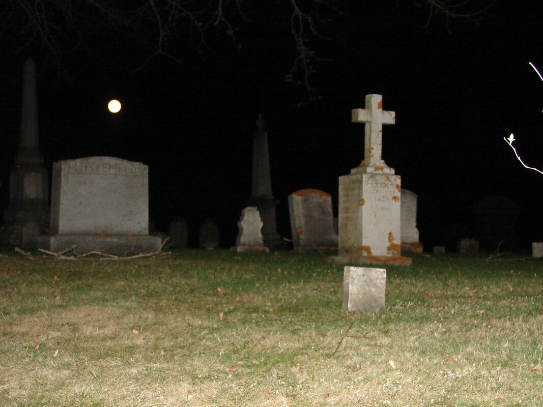Dying in the moonlight Dying in the moonlight