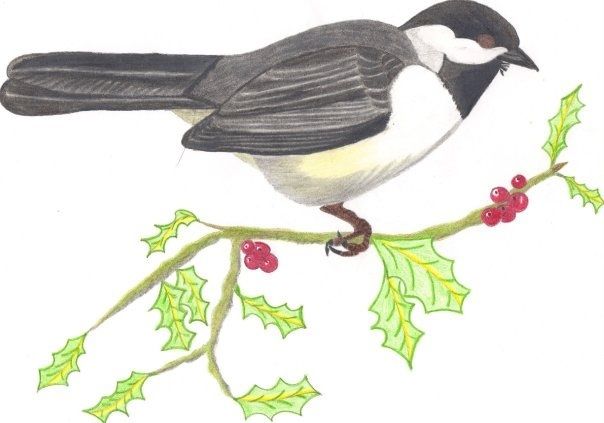 Chickadee