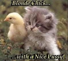 I,m A Pussy Cat !x PURR I,m A Pussy Cat !x PURR
